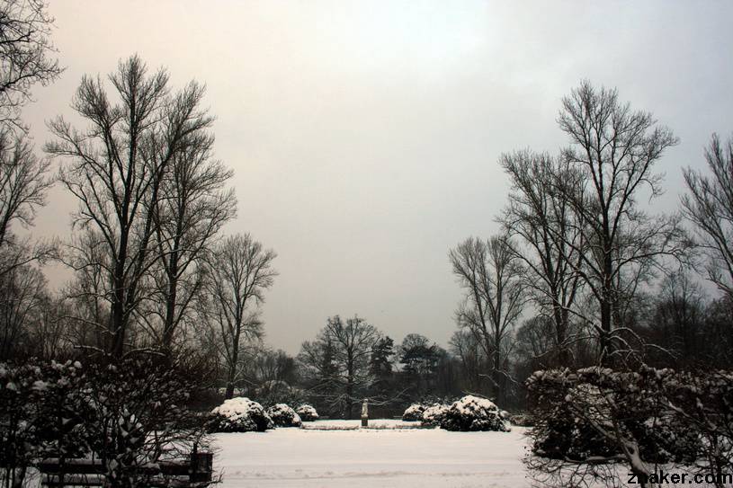 Fotografie Zimowych Drzew Łazienki